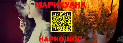 крисы Брянск