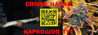 крисы Брянск