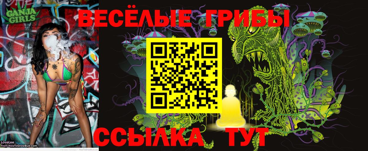 Богданович  Псилоцибиновые грибы мицелий  Вход с VPN 