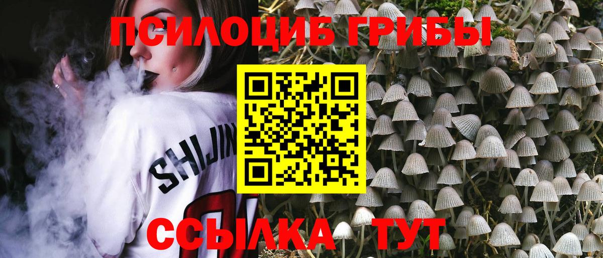 Псилоцибиновые грибы ЛСД Богданович